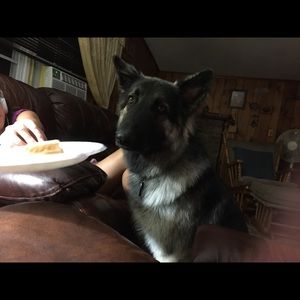 Meet your Posher, Marie